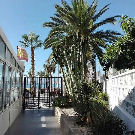 Playa Levante Renovado Con Vistas Maravillosas Don Miguel 1 Deluxe * بينايدورم